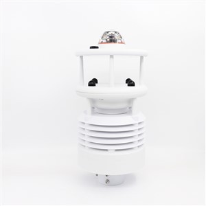 Viskas viename aplinkos stebėjimo jutikliuose