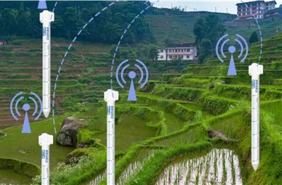 RS485 Skaitmeninis 4G GPRS „WiFi Lora Lorawan 2“, 1 daugiasluoksnis dirvožemio drėgmės ir temperatūros jutiklis